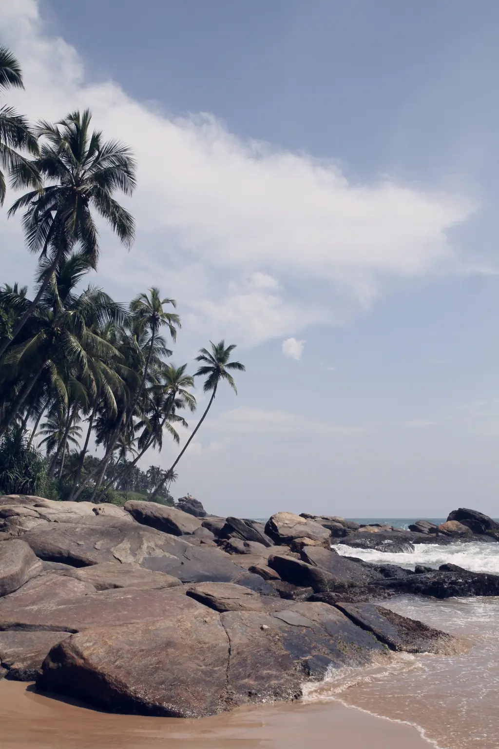 Palms and rocks on the south coast near Tangalle